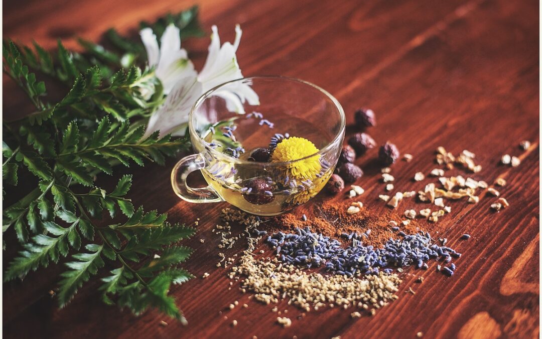 The Health Benefits of Drinking Herbal Tea